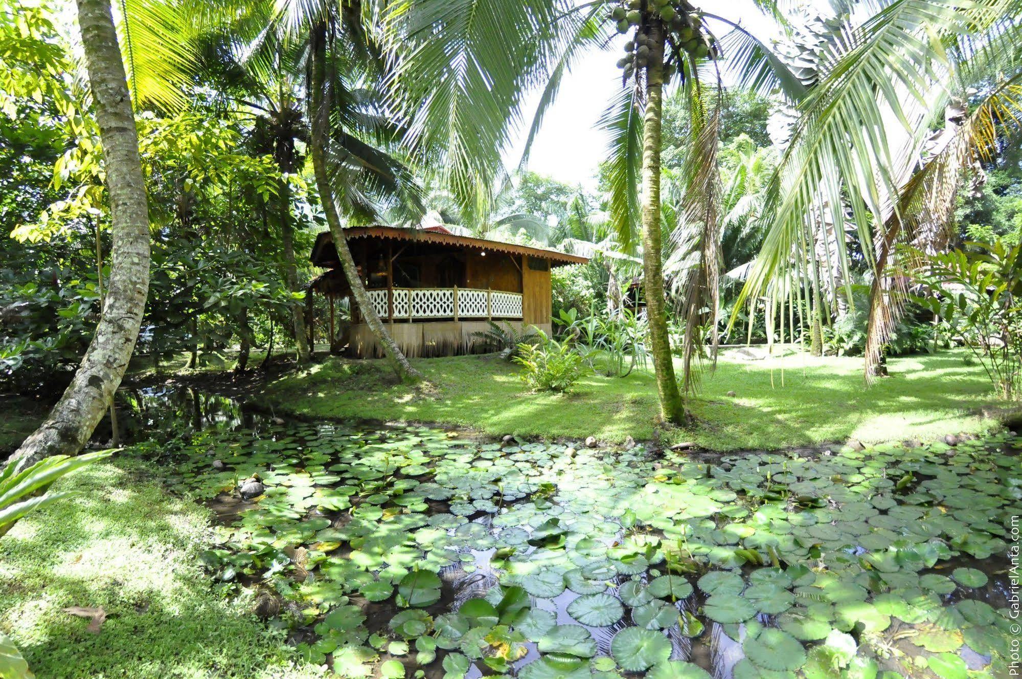 Puerto Viejo de Talamanca Hotel La Costa De Papito מראה חיצוני תמונה